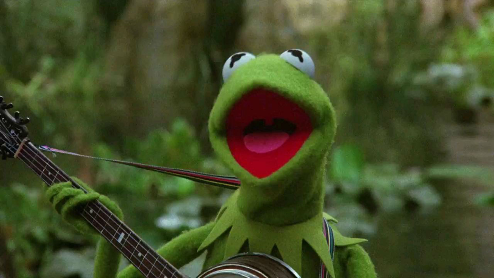 kermit the frog mad