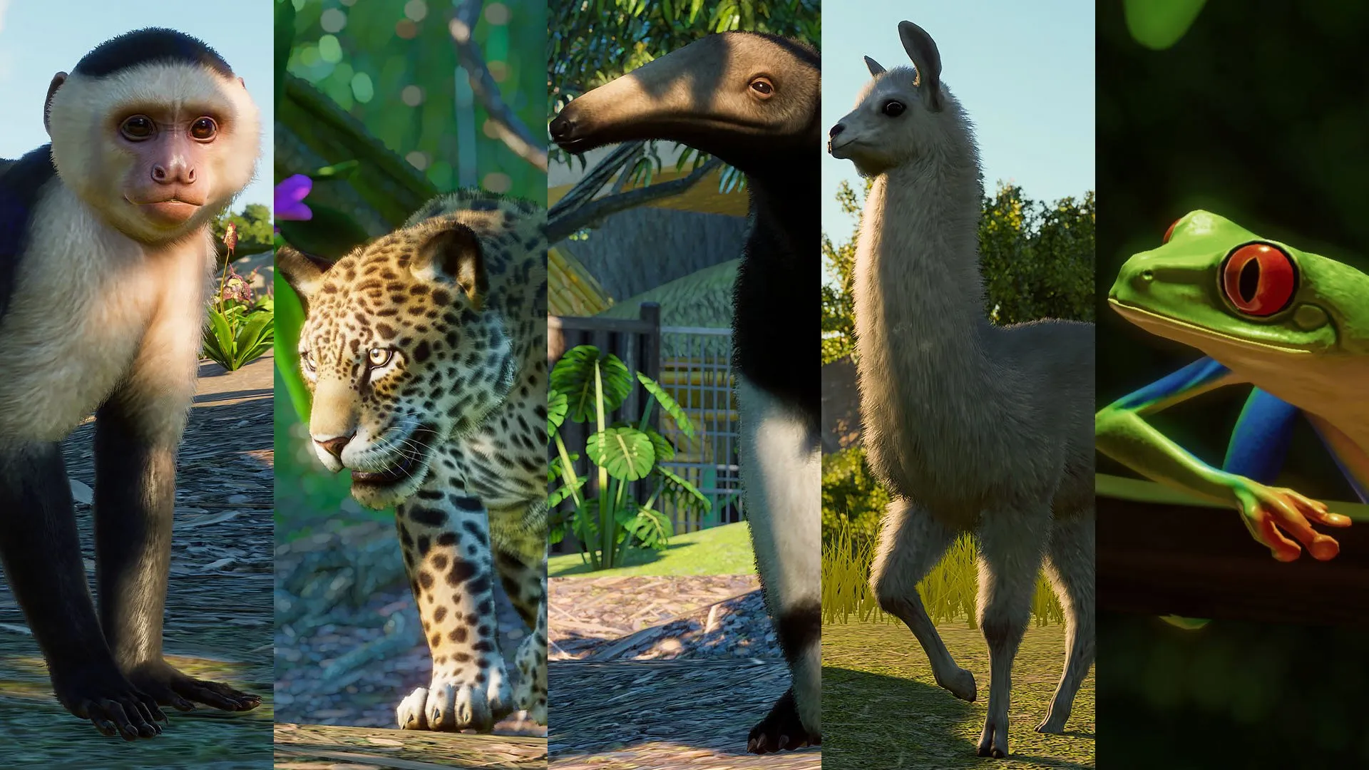 Review: Planet Zoo – Destructoid