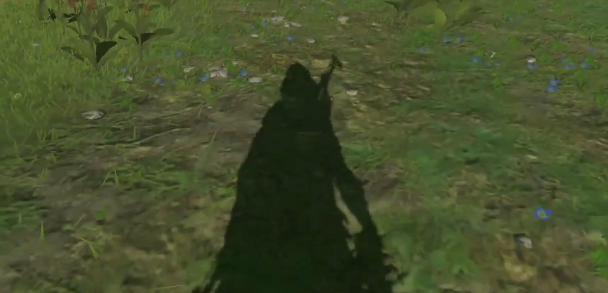 Shadow of the Colossus Finally Gets Bug Fix on PS5