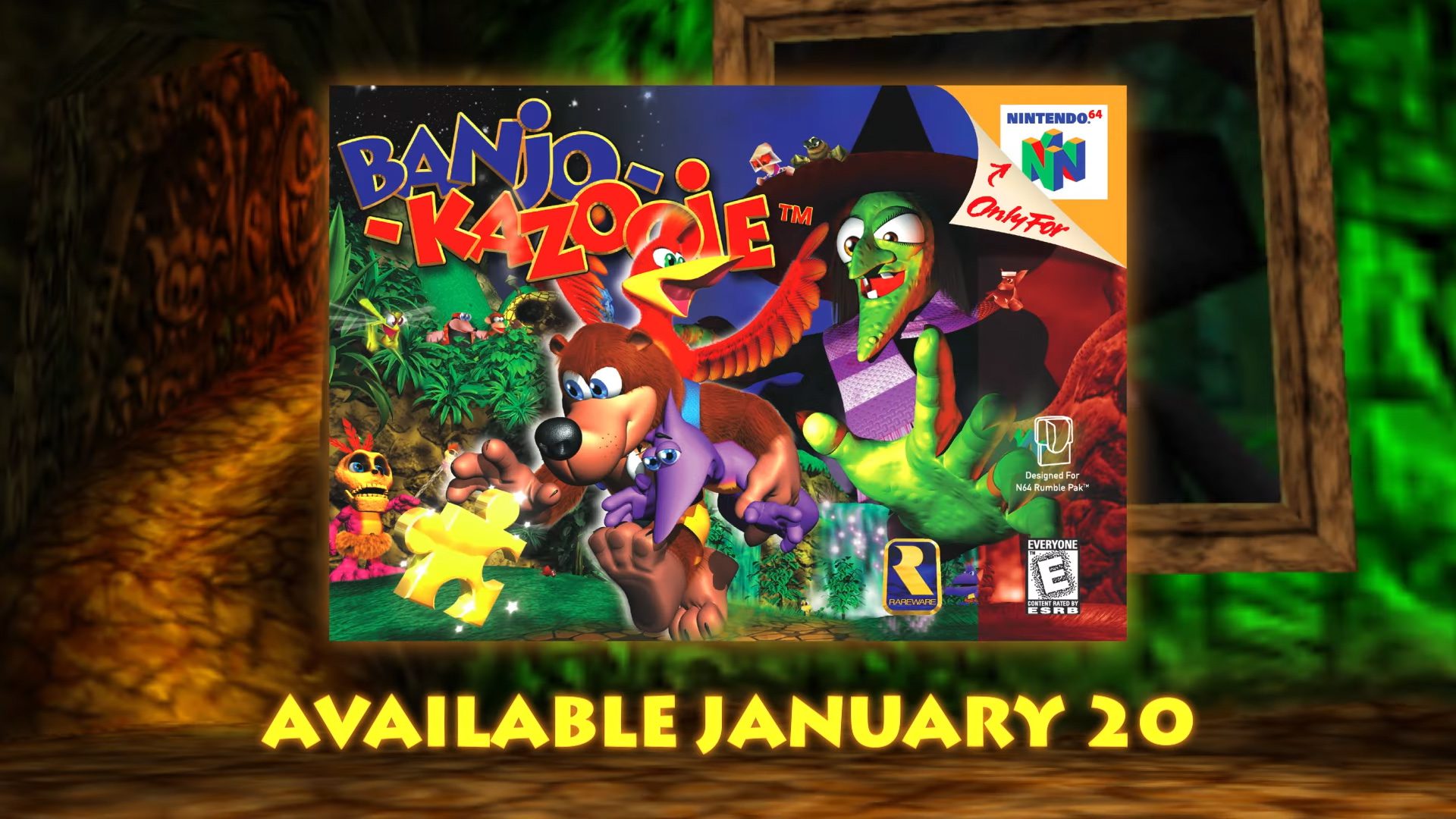 Banjo-kazooie Tooie: Nintendo 64 N64 Nintendo Switch Custom -  Hong Kong