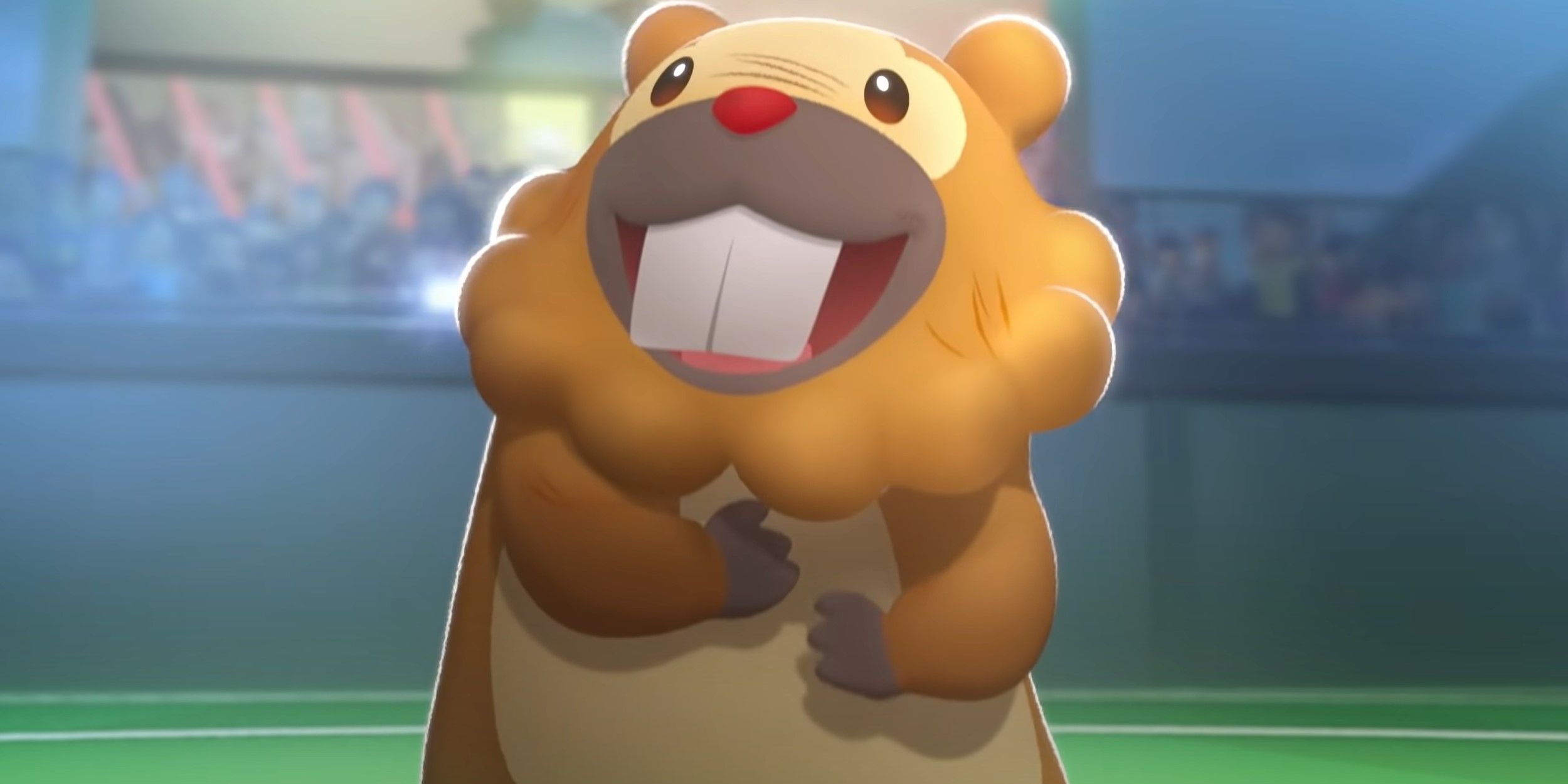 Bidoof cute