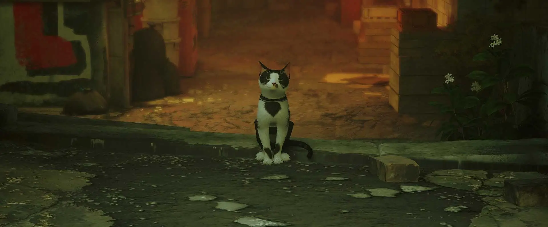 Stray mod lets you play the viral cat game as a dog instead - Dexerto