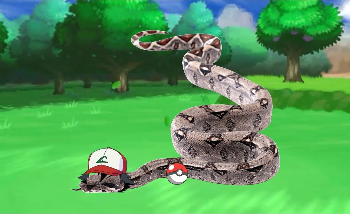 Someone taught their snake how to play Pokémon Go – Destructoid