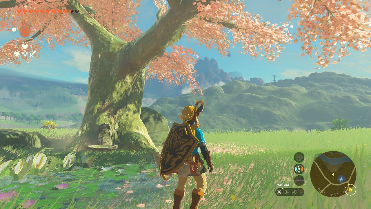 Zelda Cherry Blossom Trees