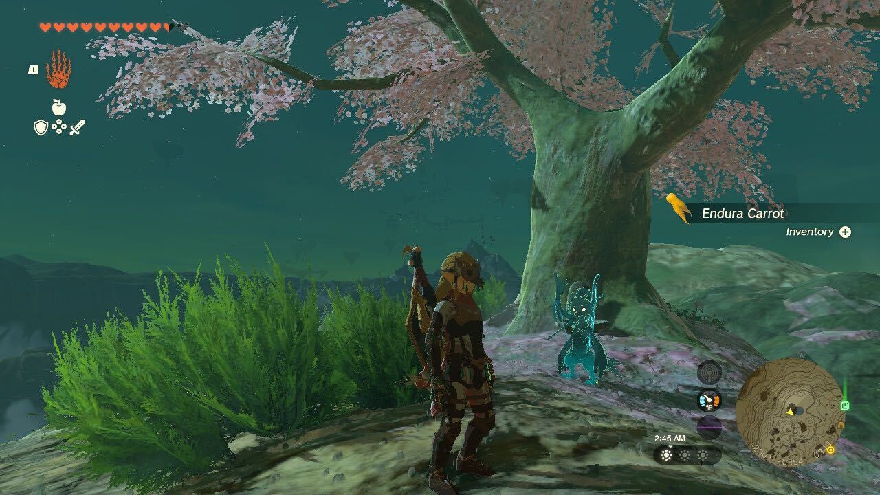 Tears of the Kingdom Screenshot