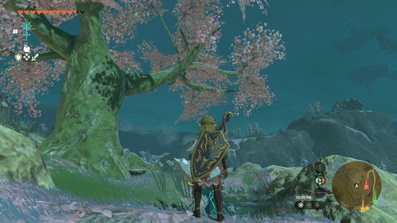 Zelda Cherry Blossom Trees