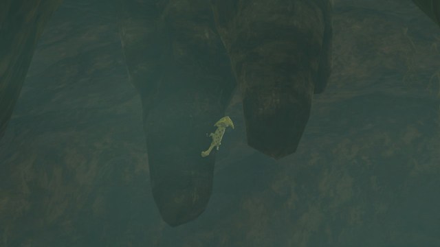 Shadow of the Colossus lizard location map - find all the lizards