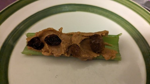Ants on a log gaming snacks