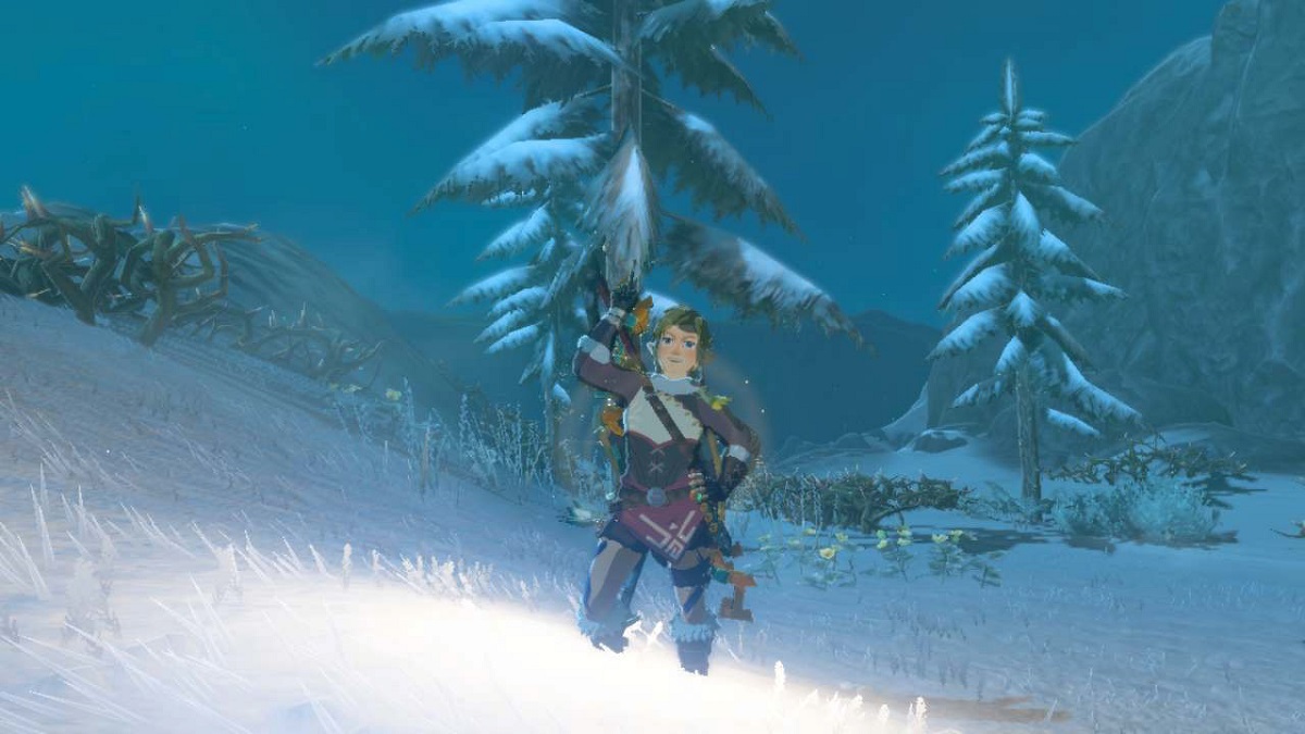 Hylian Pine Cone Tears of the Kingdom location