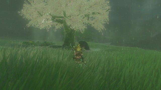 Link next to Cherry Blossom Tree in The Legend of Zelda: Tears of the Kingdom.