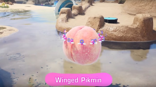 Winged Pikmin in Pikmin 4.