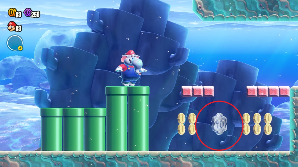 Leaping Smackerel all secrets in Super Mario Bros. Wonder