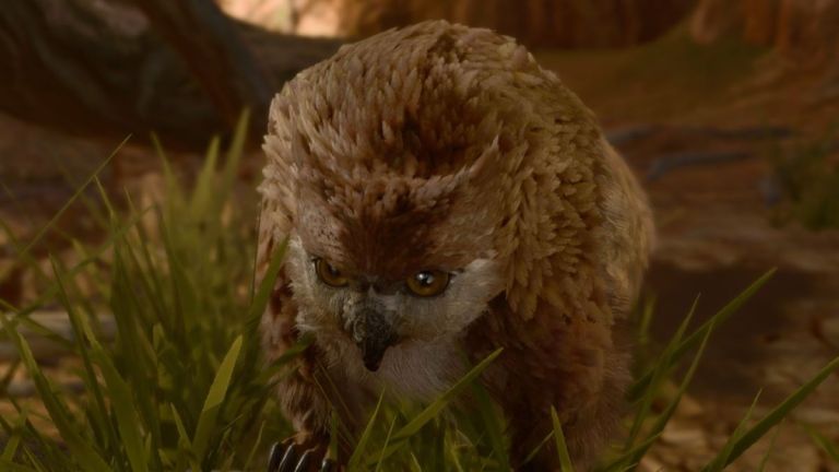 How To Get The Owlbear Cub In Baldur's Gate 3 (bg3)