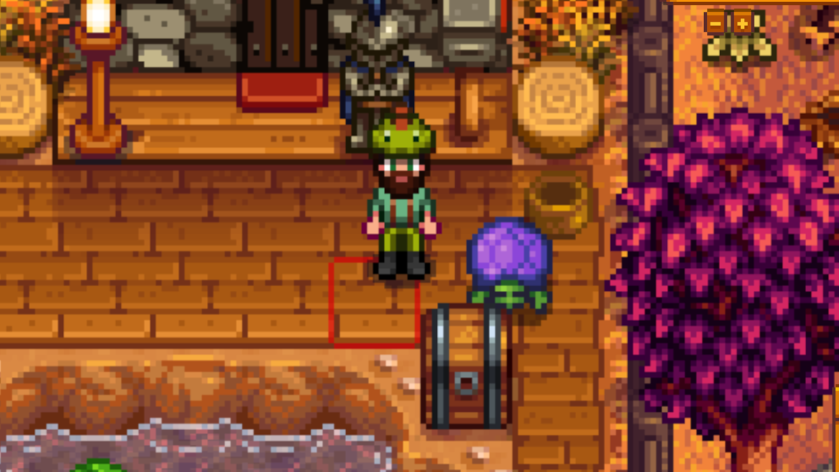 Pet Turtle in Stardew Valley