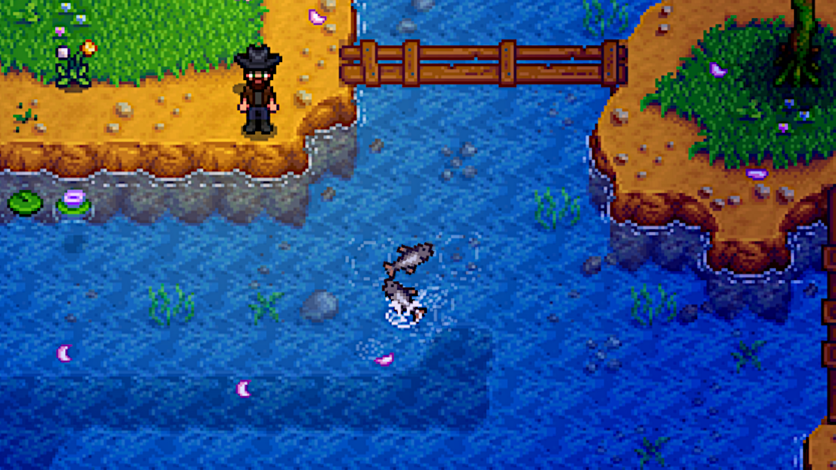 What is a Fish Frenzy in Stardew Valley? – Destructoid