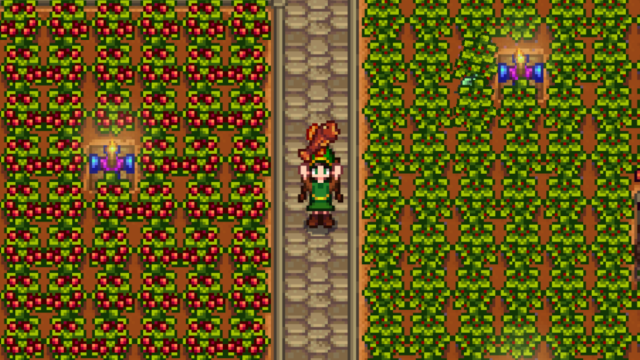 The Woodskip in Stardew Valley