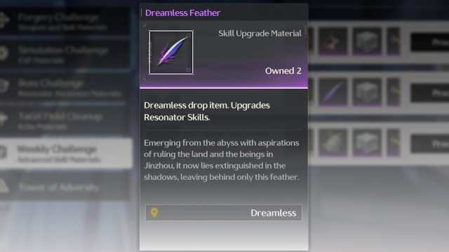 Wuthering Waves Dreamless Feather item