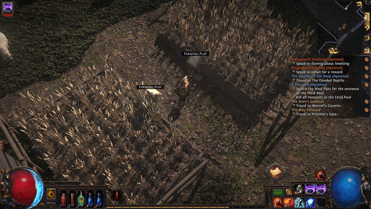 How to get Wheat in Path of Exile (PoE) 3.25