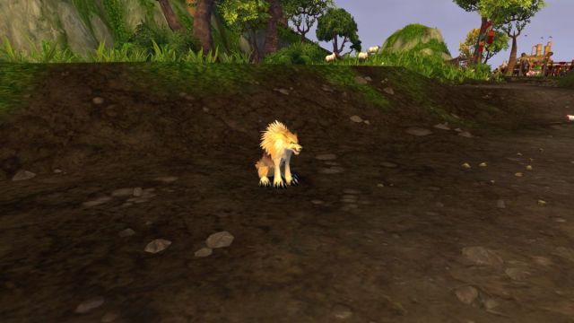 How to get the Pandaria farm Dog in World of Warcraft: The War Within