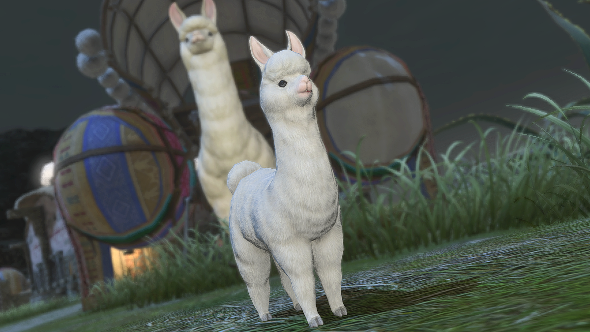 Alpaca Cria minion in Final Fantasy XIV