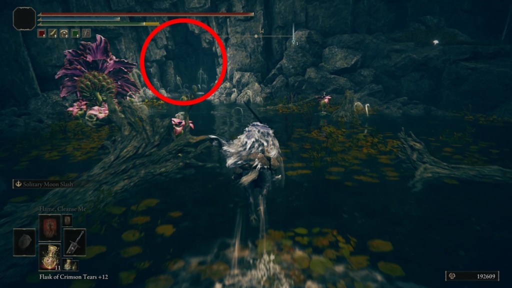 How to get the Two-Headed Turtle Talisman fast in Elden Ring: Shadow of the Erdtree