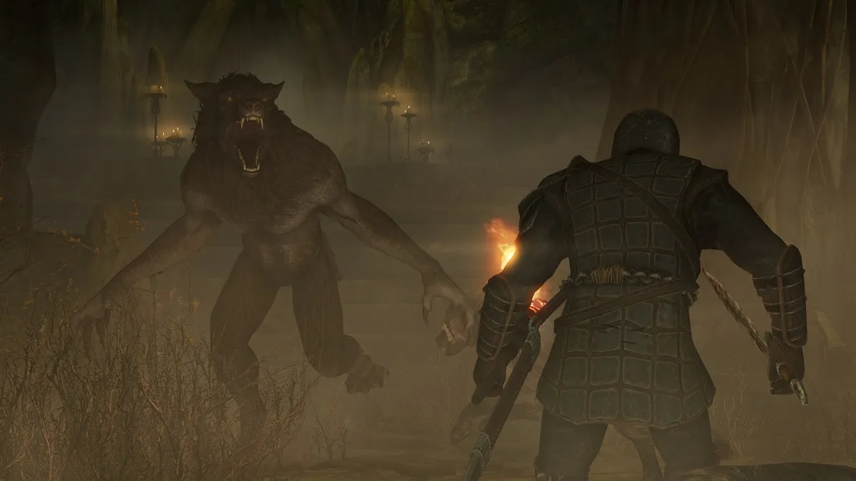 Skyrim: a knight and a werewolf about to fight in a cave.