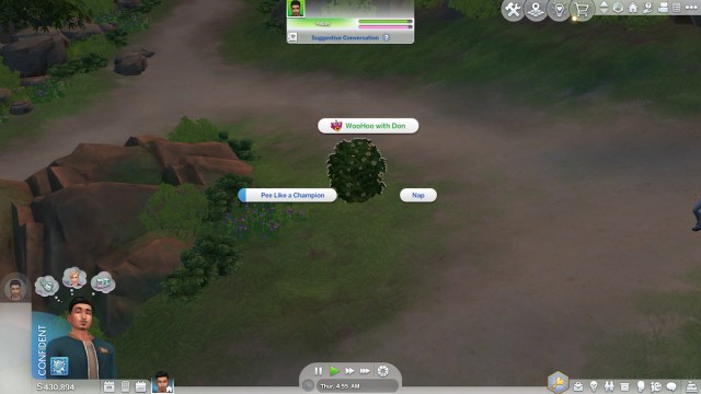 Woohoo Bush in Sims 4