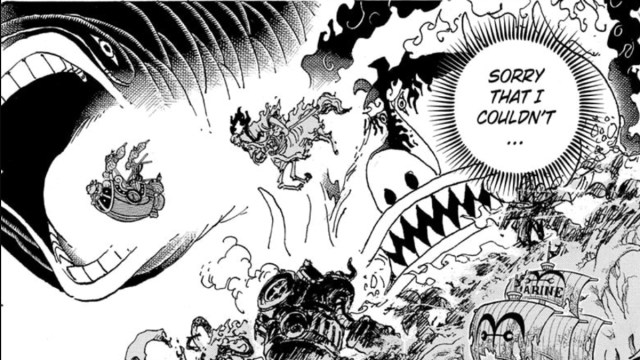 Who are the Five Elders in One Piece?