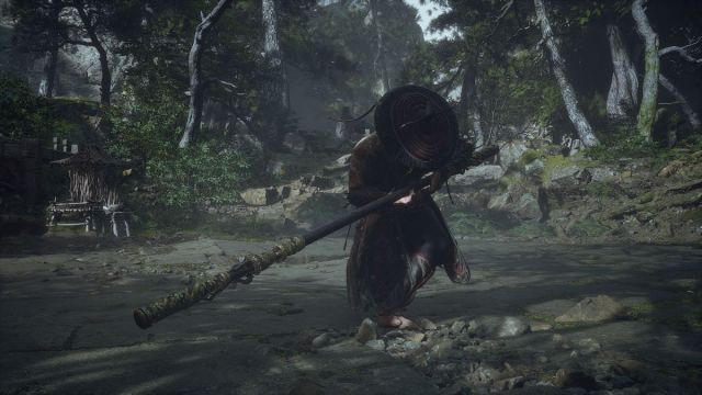 How does Punishing Downpour work in Black Myth: Wukong?