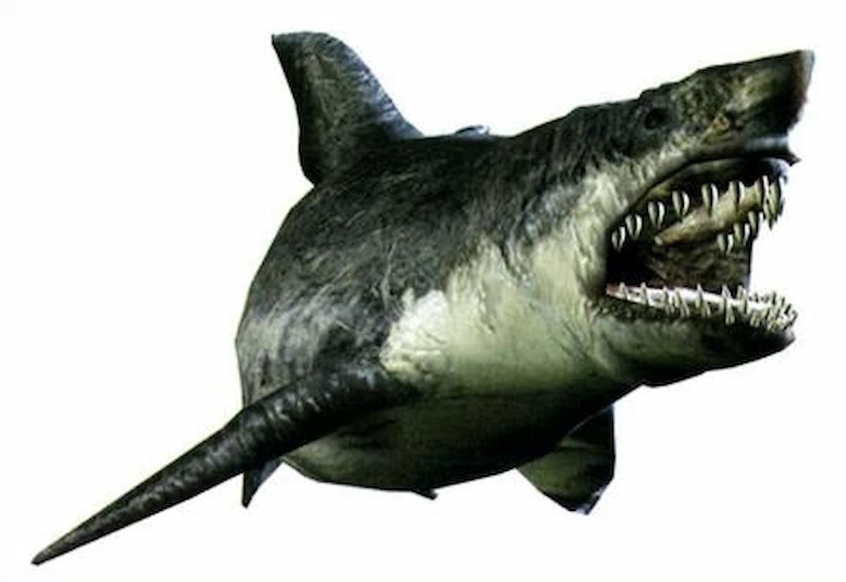 Top 10 sharks in video games