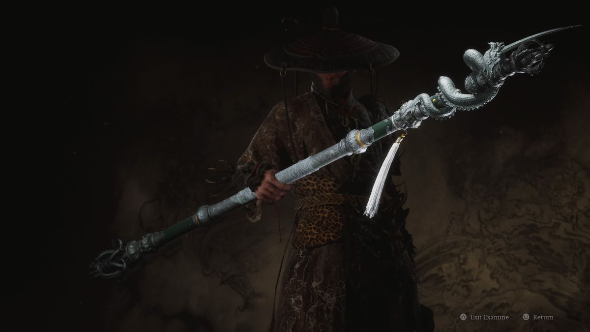 How does Punishing Downpour work in Black Myth: Wukong?