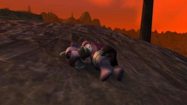 Get an exclusive Parrlok pet in World of Warcraft by streaming on Discord