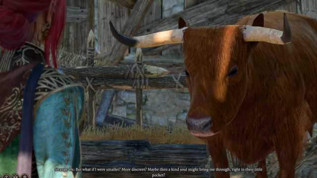 What does the Strange ox do in Baldur’s Gate 3?