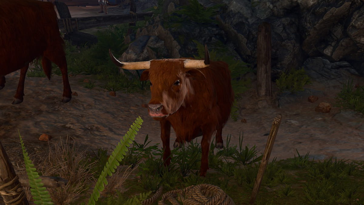 What does the Strange ox do in Baldur’s Gate 3?