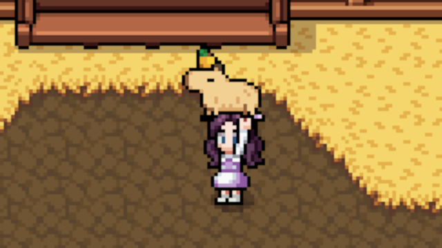 Capybara in Fields of Mistria wearing a Yuzu hat, a well known thing in the world of Pusheen