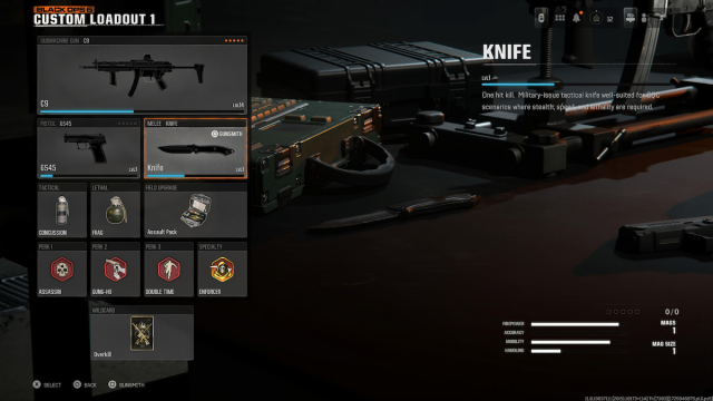 Black Ops 6 beta loadout