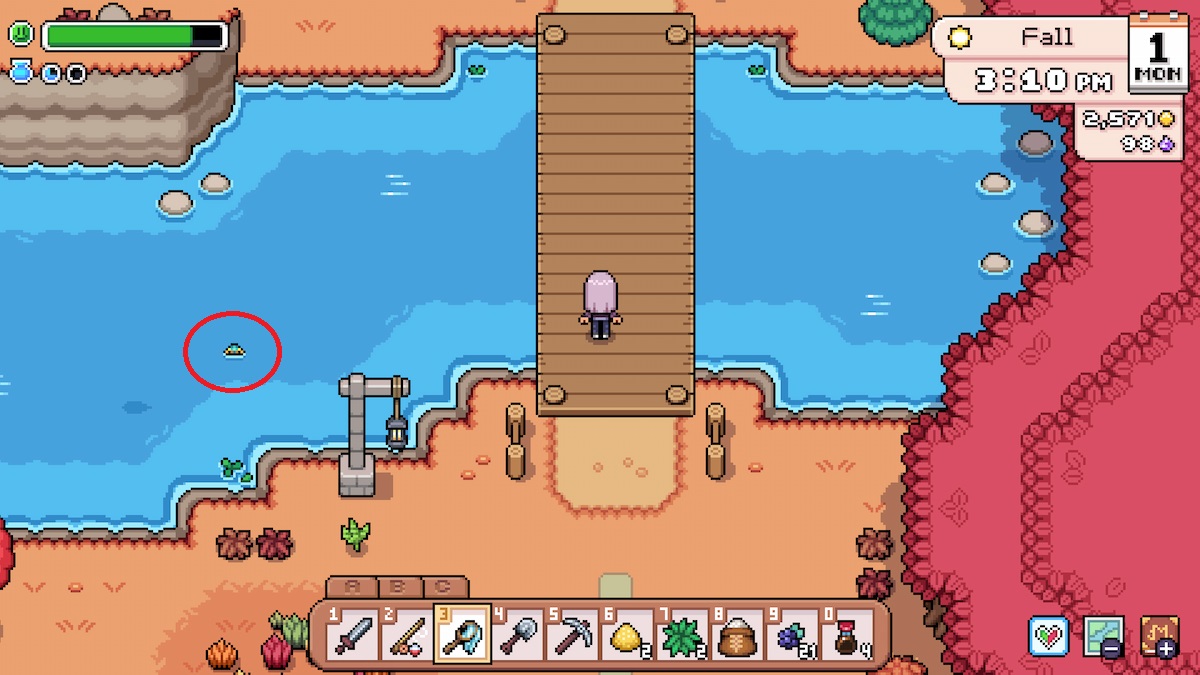 How to catch Pond Skater in Fields of Mistria