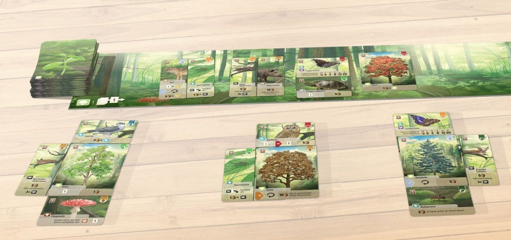 The 10 Best Board Games for Nature Lovers, Ranked