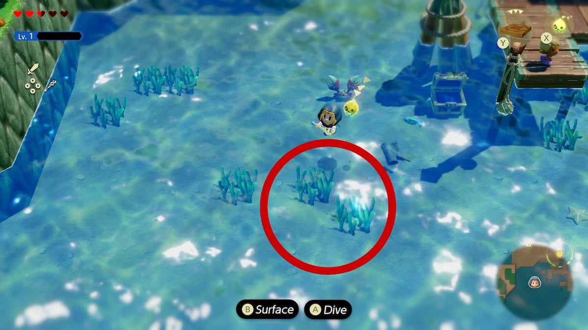 Cómo conseguir Bubble Kelp en Zelda Echoes of Wisdom