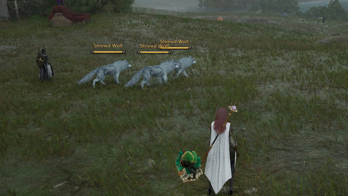 Throne and Liberty Wolf Hunting Contest