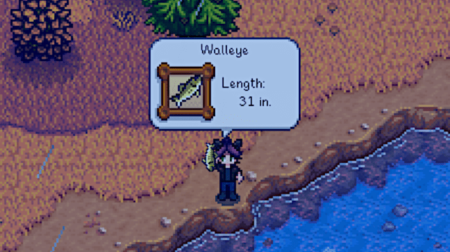 Walleye caught while fishing in Cindersap Forest in Stardew Valley