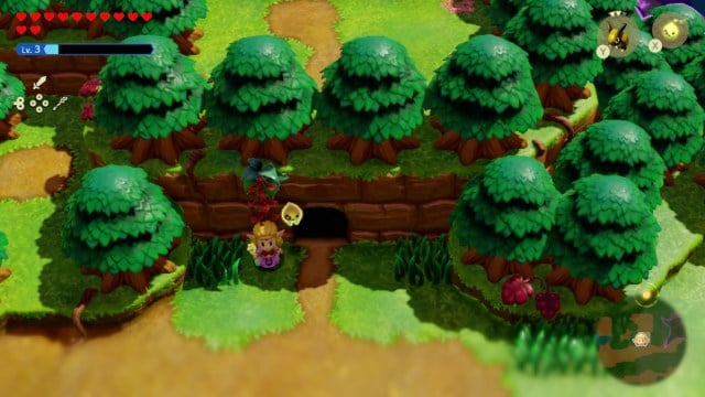 You can find a Fairy Bottle in this cave in Suthorn Forest in Zelda: Echoes of Wisdom