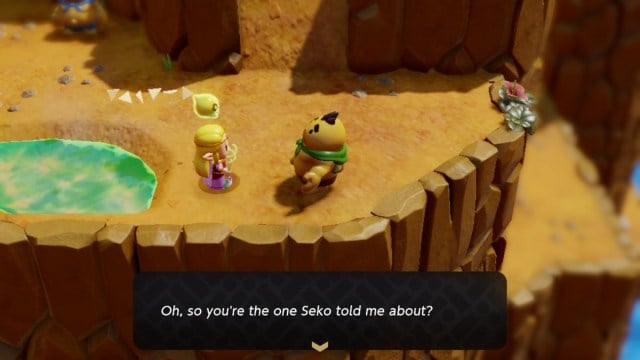 Desian is Seko's brother in Zelda: Echoes of Wisdom