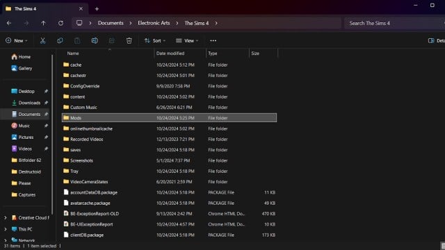 The Sims 4 documents folder