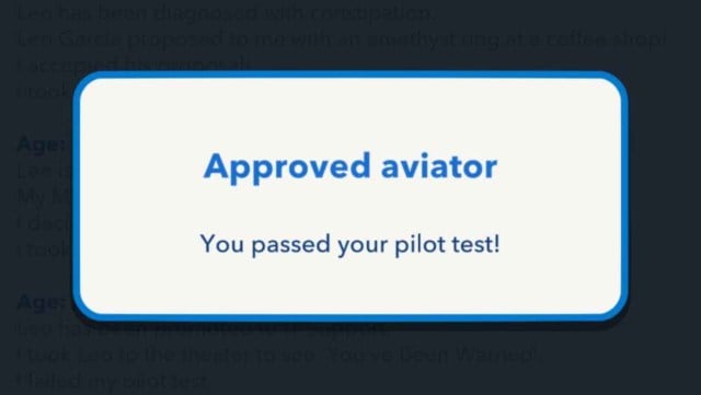 Pilot test passed in BitLife