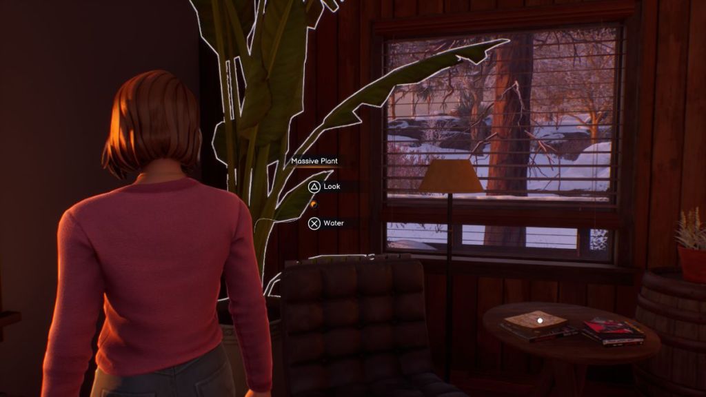 Как поливать оба растения в Life is Strange: Double Exposure (трофей Thirst Trip)