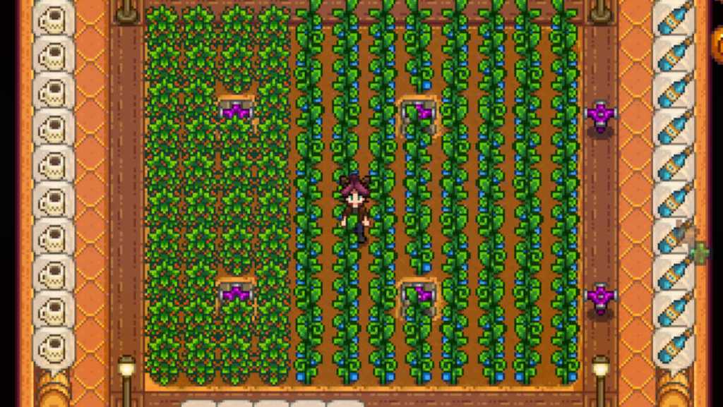 Лучшие способы заработать деньги в Stardew Valley