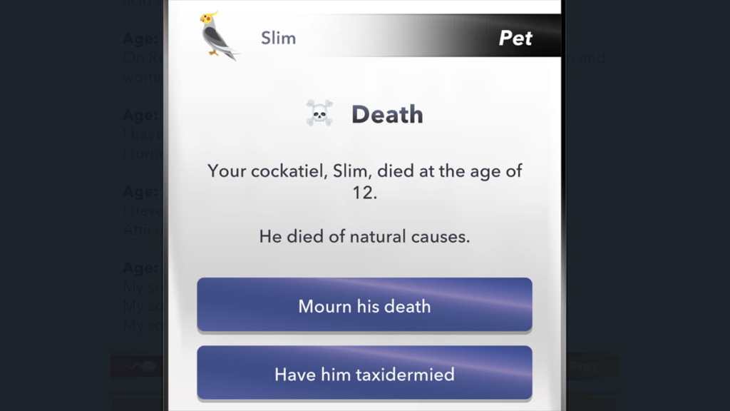 BitLife bird taxidermy option for the Thanksgiving scavenger hunt