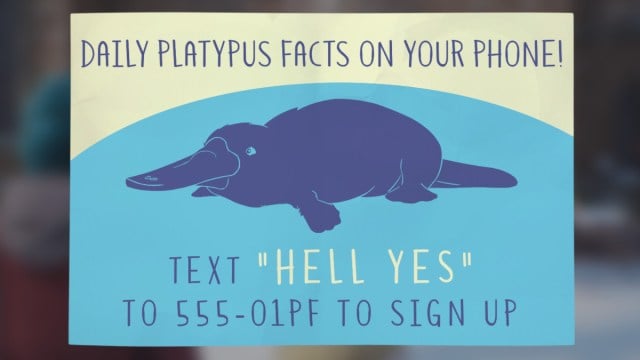 Platypus Facts in Life is Strange: Double Exposure