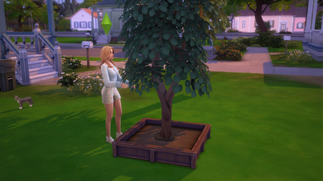 How to get a Pomegranate in The Sims 4